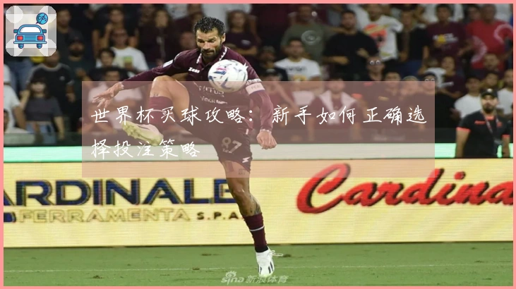 世界杯买球攻略：新手如何正确选择投注策略