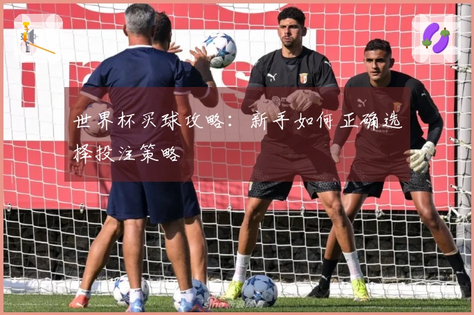 世界杯买球攻略：新手如何正确选择投注策略