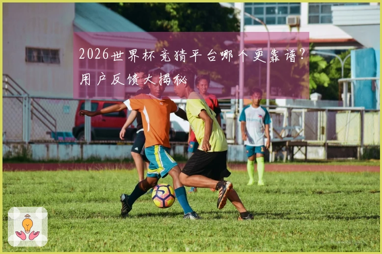 2026世界杯竞猜平台哪个更靠谱？用户反馈大揭秘