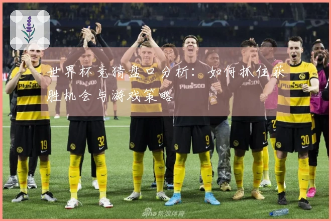 世界杯竞猜盘口分析：如何抓住获胜机会与游戏策略