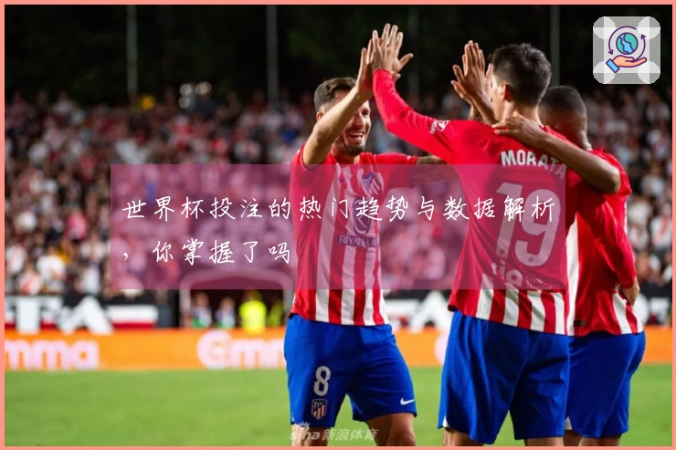 世界杯投注的热门趋势与数据解析，你掌握了吗